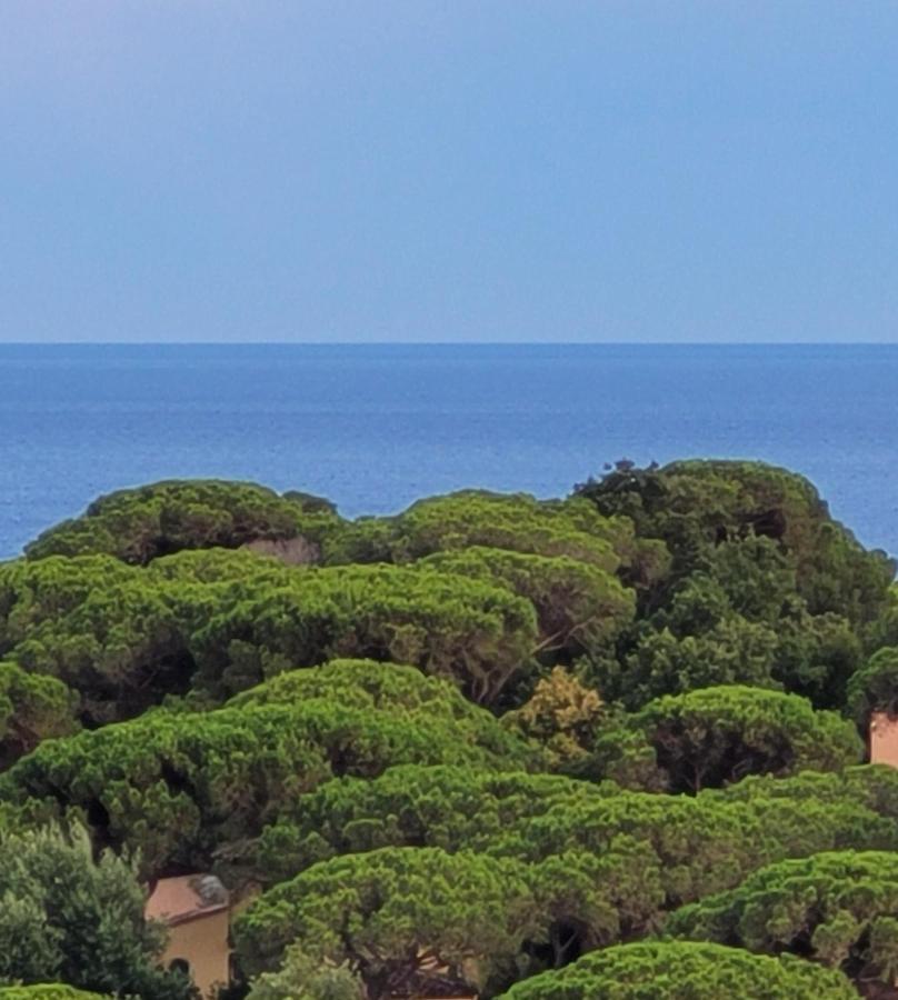 Villa Palm' Issambres 6-8 personnes avec piscine et jardin privés La Garonnette-Plage Extérieur photo