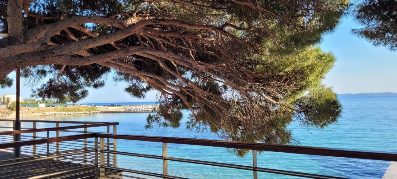 Villa Palm' Issambres 6-8 personnes avec piscine et jardin privés La Garonnette-Plage Extérieur photo