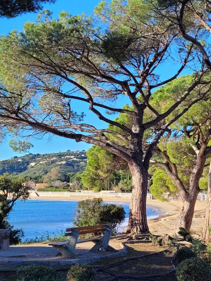Villa Palm' Issambres 6-8 personnes avec piscine et jardin privés La Garonnette-Plage Extérieur photo
