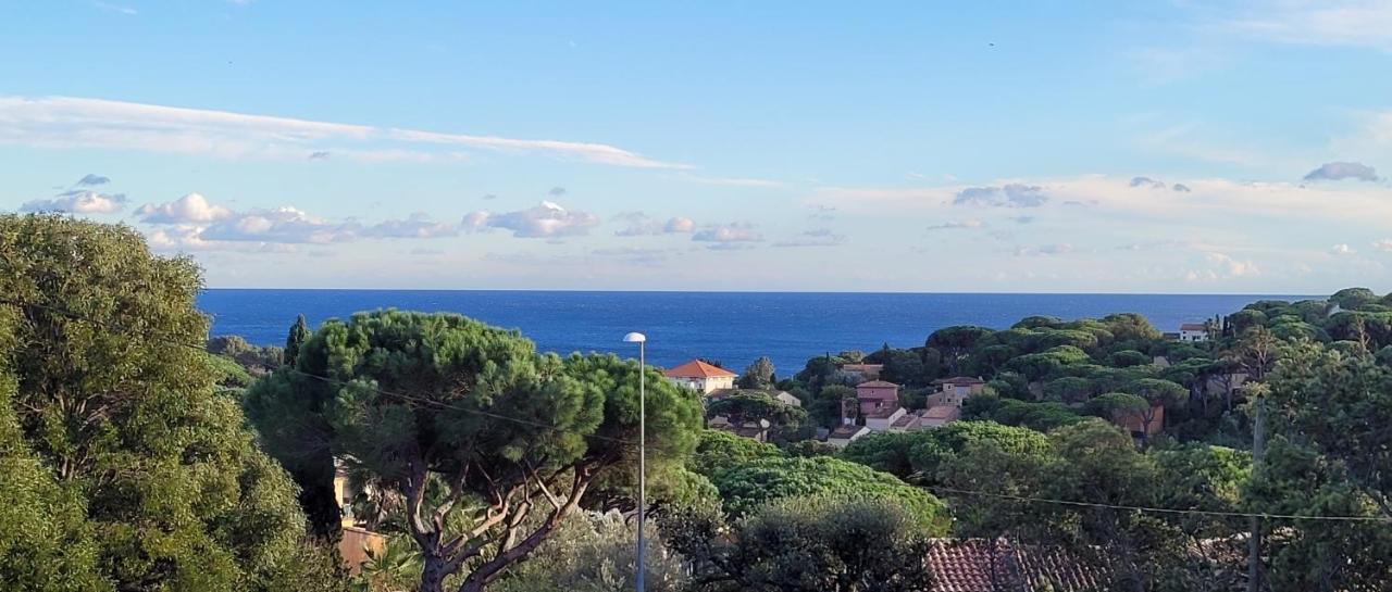 Villa Palm' Issambres 6-8 personnes avec piscine et jardin privés La Garonnette-Plage Extérieur photo