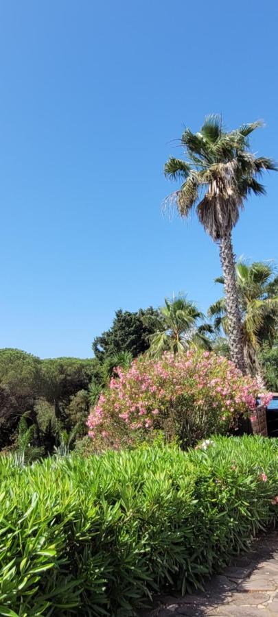 Villa Palm' Issambres 6-8 personnes avec piscine et jardin privés La Garonnette-Plage Extérieur photo