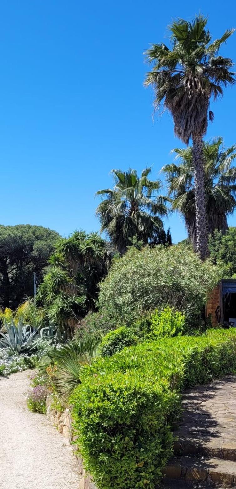 Villa Palm' Issambres 6-8 personnes avec piscine et jardin privés La Garonnette-Plage Extérieur photo